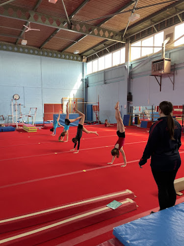 Carousel Gymnastics Club in Wickford