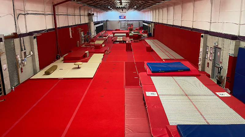 kestrel gymnastics academy in Ashford
