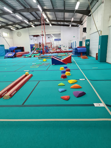 Leatherhead and Dorking Gymnastics Club in Leatherhead