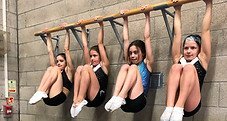 Phoenix High Flyers in York