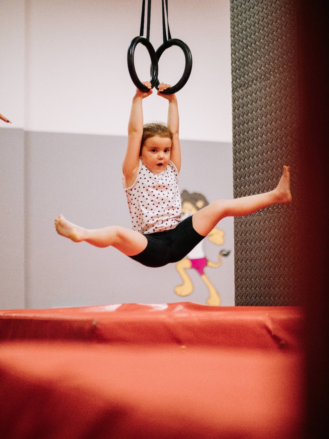 RAW Kids Gymnastics Sheffield North in Sheffield