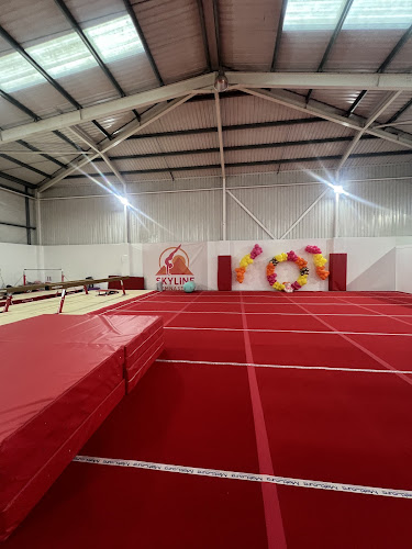 Skyline Gymnastics in Sheffield
