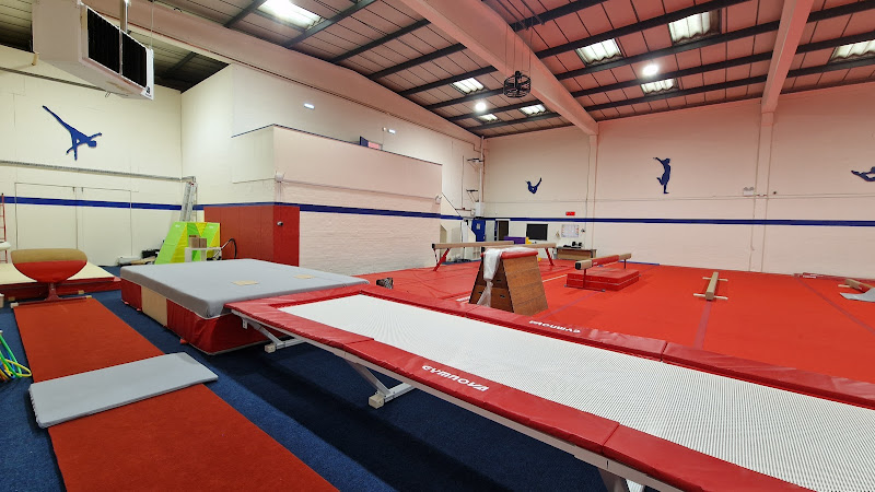 Tamworth Olympic Gymnastics Club in Tamworth