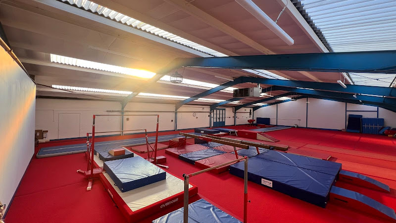 Thurrock Gymnastics Academy in Grays