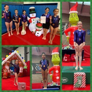 Tryst Gymnastics Club in Larbert