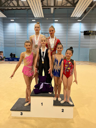 ViSta Gymnastics Academy in Livingston