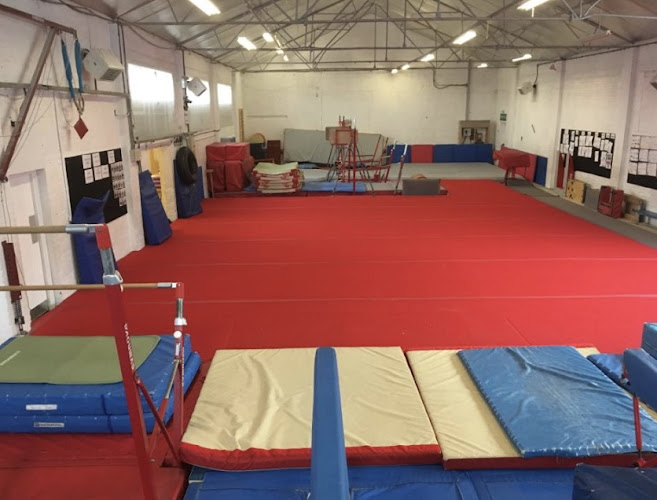Wyre Forest Gymnastic School in Kidderminster